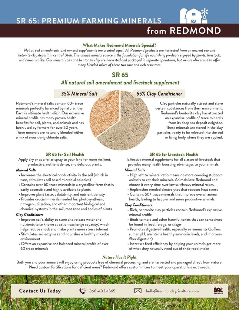 mineral program