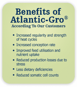Stoltzfus Mineral Supply, North Atlantic Organics, Minerals